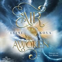 Die Chroniken von Solaris 1: Air Awoken - Elise Kova