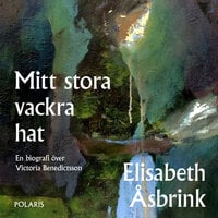 Mitt stora vackra hat - Elisabeth Åsbrink