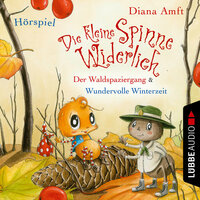 Die kleine Spinne Widerlich Der Waldspaziergang & Wundervolle Winterzeit: Der Waldspaziergang & Wundervolle Winterzeit - Diana Amft
