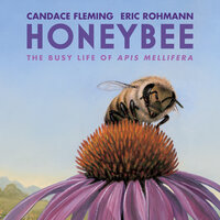 Honeybee: The Busy Life of Apis Mellifera - Candace Fleming