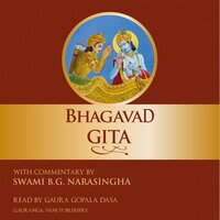 Bhagavad Gita: Sri Krishna's Illuminations on the Perfection of Yoga - Swami B.G. Narasingha