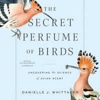 The Secret Perfume of Birds: Uncovering the Science of Avian Scent