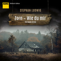 Zorn - Wie du mir - Stephan Ludwig