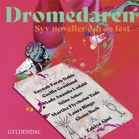 Dromedaren - syv noveller om én fest