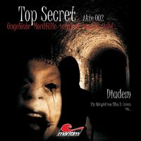 Top Secret, Akte 2: Diadem - Ellen B. Crown