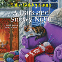 A Dark and Snowy Night - Sally Goldenbaum