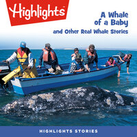 A Whale of a Baby and Other Real Whale Stories