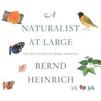 A Naturalist at Large: The Best Essays of Bernd Heinrich