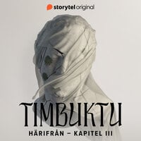 Härifrån – Kapitel 3. Stockholm 2013 - Jason Timbuktu Diakité, Michael Bekele