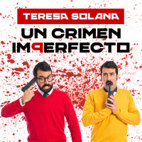 Un crimen imperfecto - Teresa Solana