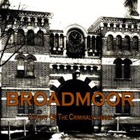 Broadmoor: A History of the Criminally Insane - David Wilson, Jenni Day