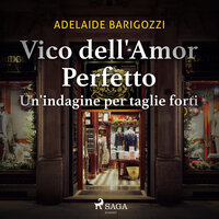 Vico dell'amor perfetto - Un'indagine per taglie forti - Adelaide Barigozzi