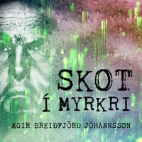 Skot í myrkri - Ægir Breiðfjörð Jóhannsson