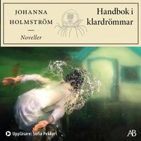 Handbok i klardrömmar - Johanna Holmström