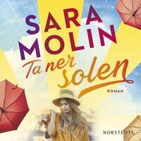 Ta ner solen - Sara Molin