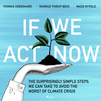 If We Act Now - the surprisingly simple steps we can take to avoid the worst of climate crisis - Mads Nyvold, Thomas Hebsgaard, Rasmus Thirup Beck