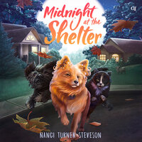 Midnight at the Shelter - Nanci Turner Steveson