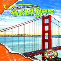 Everyday Engineering: Bridges - Chris Bowman