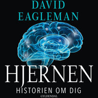 Hjernen: Historien om dig - David Eagleman
