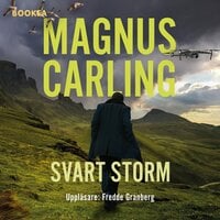 Svart storm - Magnus Carling