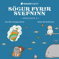 Sögur fyrir svefninn - Sögusafn 3 - Eva Rún Þorgeirsdóttir