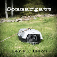 Sommargatt - Hans Olsson