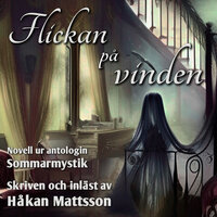 Flickan på vinden - Håkan Mattsson
