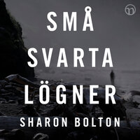 Små svarta lögner - Sharon Bolton