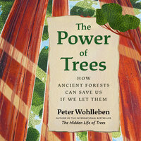 The Power of Trees: How Ancient Forests Can Save Us if We Let Them - Peter Wohlleben
