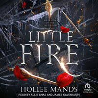 Little Fire - Hollee Mands