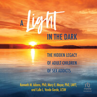 A Light in the Dark: The Hidden Legacy of Adult Children of Sex Addicts - Kenneth M. Adams, PhD, Culle L. Vande Garde, LCSW, Mary E. Meyer, PhD, LMFT