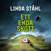 Ett enda skott - Linda Ståhl