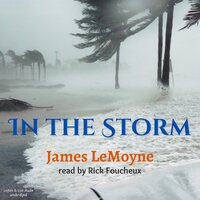 In The Storm - James LeMoyne