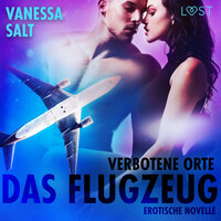 Verbotene Orte: Das Flugzeug - Erotische Novelle - Vanessa Salt