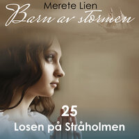 Losen på Stråholmen - Merete Lien