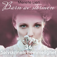 Sølvskrinets hemmelighet - Merete Lien