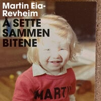 Å sette sammen bitene - Min historie om vold, skam og reparasjon - Martin Eia-Revheim