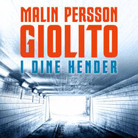 I dine hender - Malin Persson Giolito