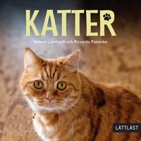 Katter / Lättläst - Helene Lumholdt