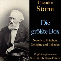 Theodor Storm: Die größte Box: Novellen, Märchen, Gedichte und Balladen - Theodor Storm