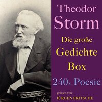 Theodor Storm: Die große Gedichte Box: 240 x Poesie - Theodor Storm