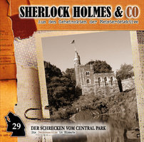 Sherlock Holmes & Co, Folge 29: Der Schrecken vom Central Park - Patrick Holtheuer