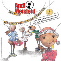 Andi Meisfeld, Folge 3: Dufte Weihnachtsabenteuer - Tom Steinbrecher