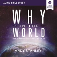 Why in the World: Audio Bible Studies: The Reason God Became One of Us - Andy Stanley