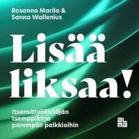 Lisää liksaa!: Itsensätyöllistäjän tsemppikirja parempiin palkkioihin - Sanna Wallenius, Rosanna Marila