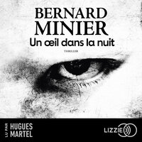 Un oeil dans la nuit - Bernard Minier