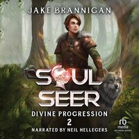Soulseer: Divine Progression: A LitRPG Adventure - Jake Brannigan