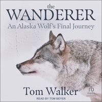 The Wanderer: An Alaska Wolf's Final Journey - Tom Walker