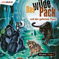 Das wilde Pack, Folge 3: Das wilde Pack und der geheime Fluss - André Marx, Boris Pfeiffer