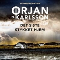 Det siste stykket hjem - Ørjan N. Karlsson